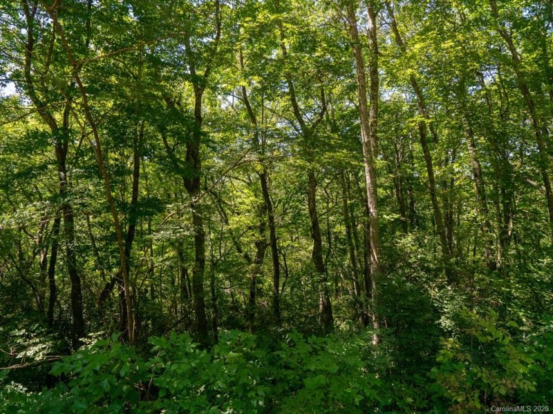 Property image 4 at 00 Rainbow Trout Drive, Spruce Pine, NC 28777