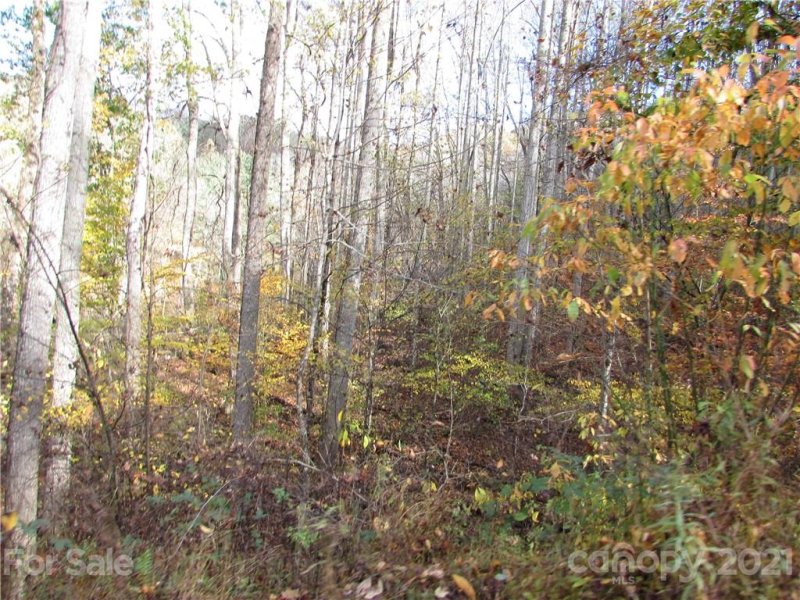 Property image 5 of E 3 Red Wolf Run None in Red Wolf Run, Mars Hill, NC 28754