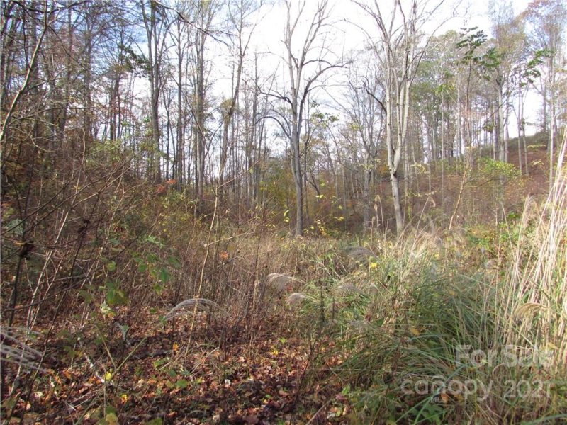 Property image 5 of 00 Red Wolf Run None in Red Wolf Run, Mars Hill, NC 28754