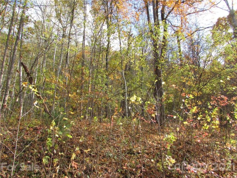 Property image 2 of E 6 Red Wolf Run None in Red Wolf Run, Mars Hill, NC 28754