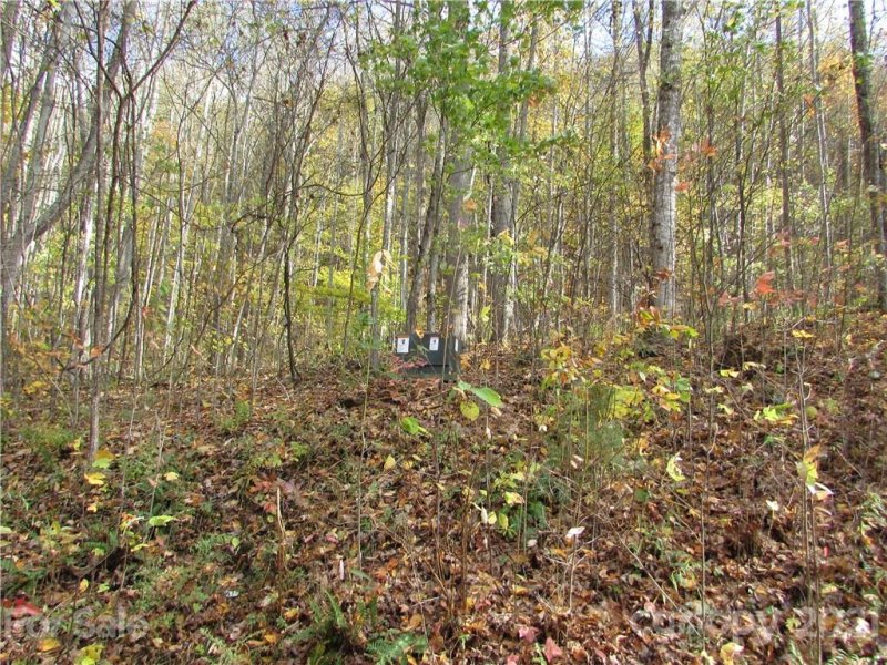 Property image 3 of E 6 Red Wolf Run None in Red Wolf Run, Mars Hill, NC 28754