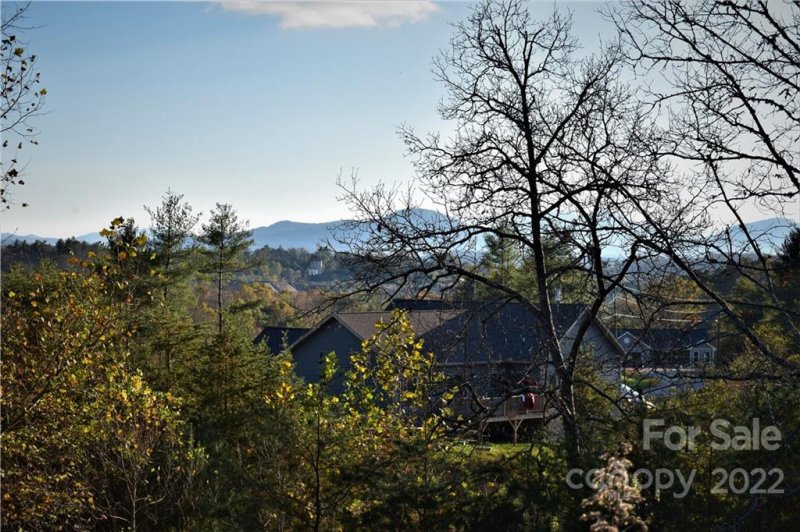 Property image 3 at Lot 8 Big Rocky Top Drive, Weaverville, NC 28787