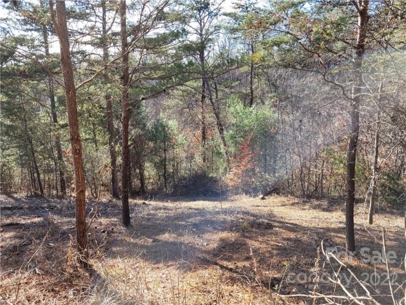 Property image 4 at Lot 8 Big Rocky Top Drive, Weaverville, NC 28787