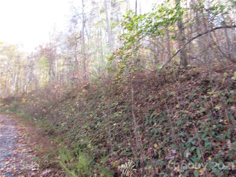 Property image 3 of E 13 Red Wolf Run None in Red Wolf Run, Mars Hill, NC 28754