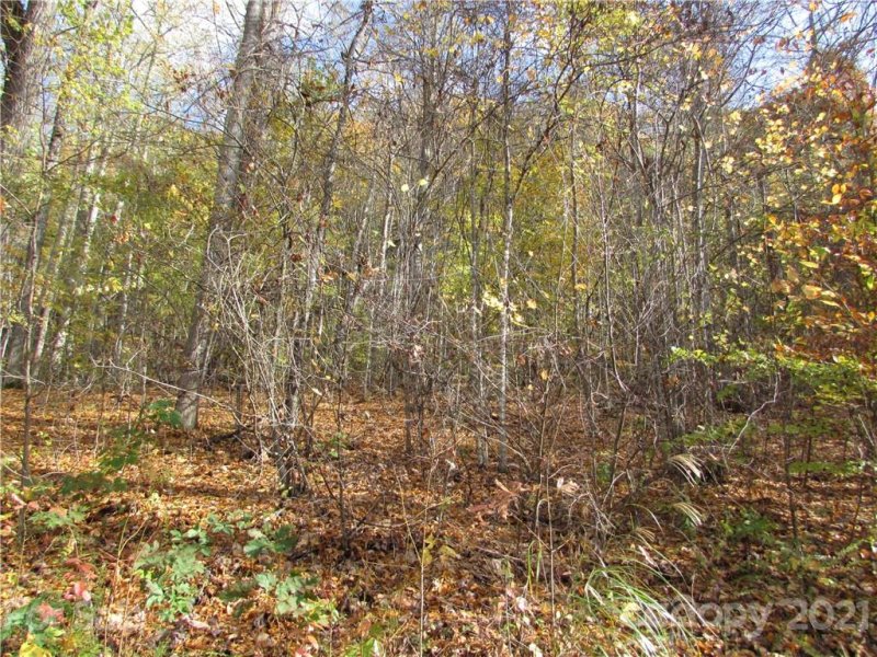 Property image 4 of E 13 Red Wolf Run None in Red Wolf Run, Mars Hill, NC 28754