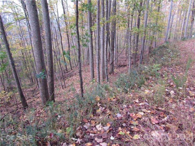 Property image 3 of E 15 Red Wolf Run None in Red Wolf Run, Mars Hill, NC 28754