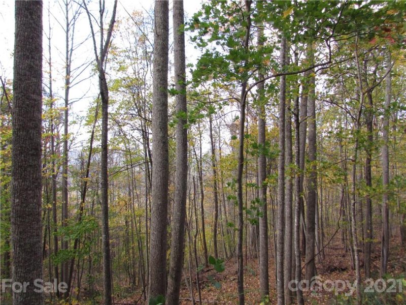 Property image 4 of E 15 Red Wolf Run None in Red Wolf Run, Mars Hill, NC 28754