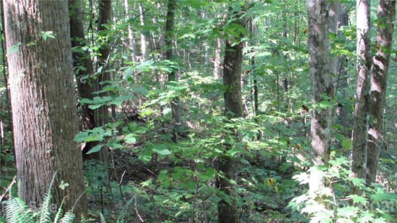 Property image 5 of E 17 Red Wolf Run None in Red Wolf Run, Mars Hill, NC 28754