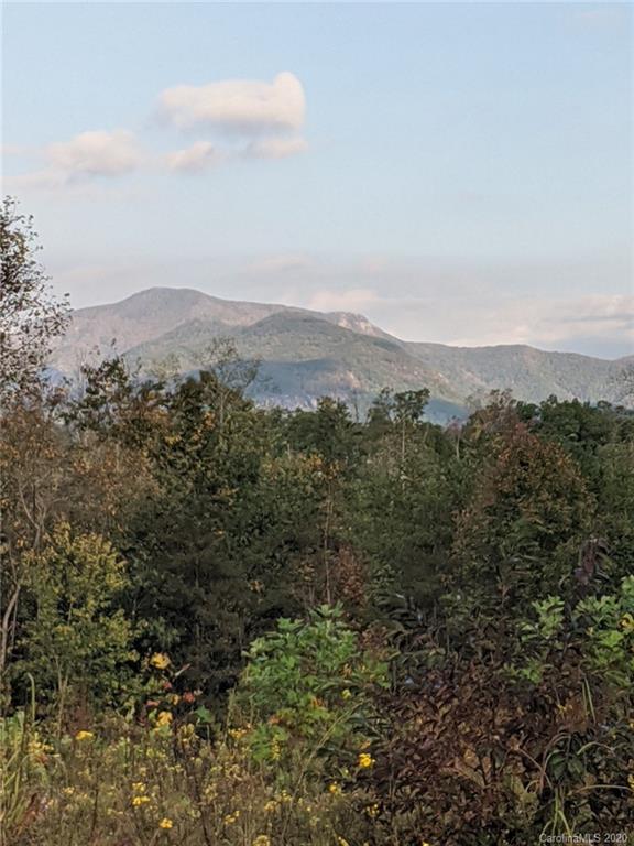 Property image 5 at Lot 41 Lake Haven Drive, Lake Lure, NC 28746