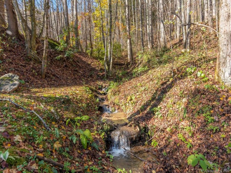 Property image 3 at 737 Setzer Cove Road, Maggie Valley, NC 28751