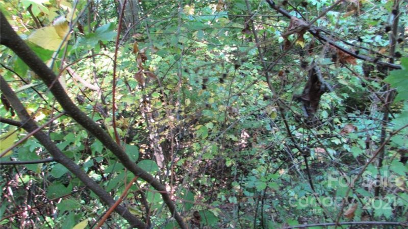 Property image 5 of E 19 Red Wolf Run None in Red Wolf Run, Mars Hill, NC 28754