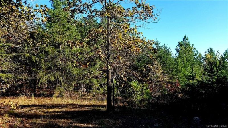 Property image 2 at 4028 Skyland Drive, Morganton, NC 28655