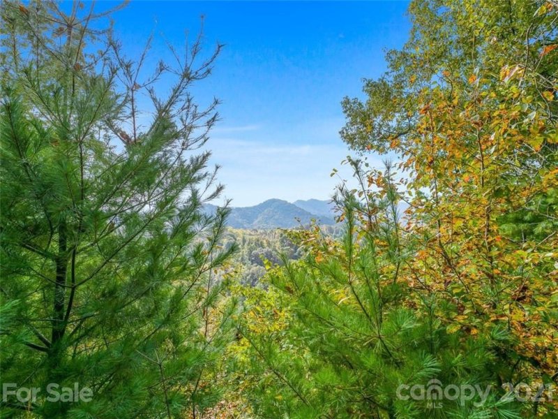 Property image 3 at 9999 Off Sunnyside Drive, Marshall, NC 28753