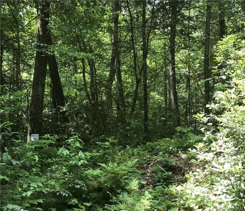 Property image 5 at 153 Sunrise Court, Sapphire, NC 28774