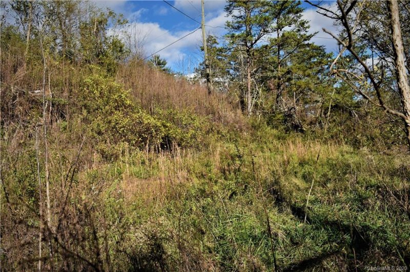 Property image 4 at Tbd Big Rocky Top Drive, Weaverville, NC 28787
