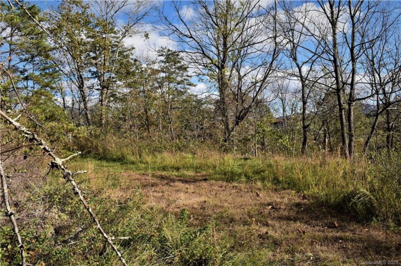 Property image 5 at Tbd Big Rocky Top Drive, Weaverville, NC 28787