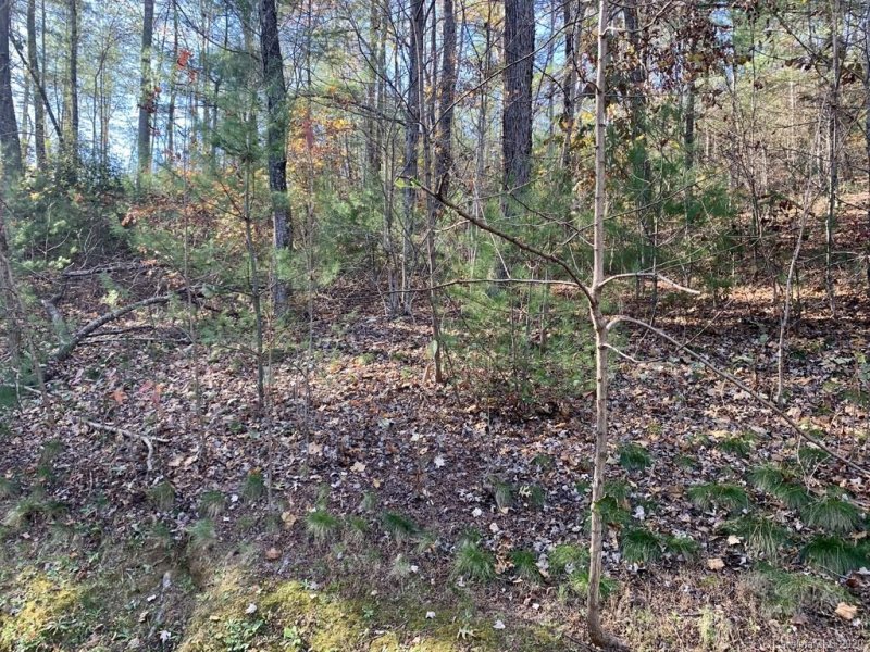 Property image 4 at Lot 83 Mountain Home Trail, Brevard, NC 28712