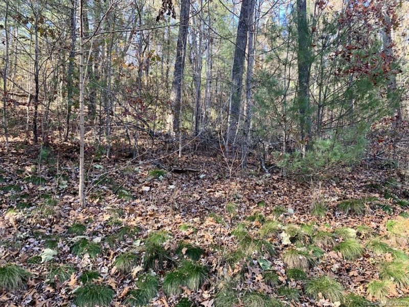 Property image 5 at Lot 83 Mountain Home Trail, Brevard, NC 28712