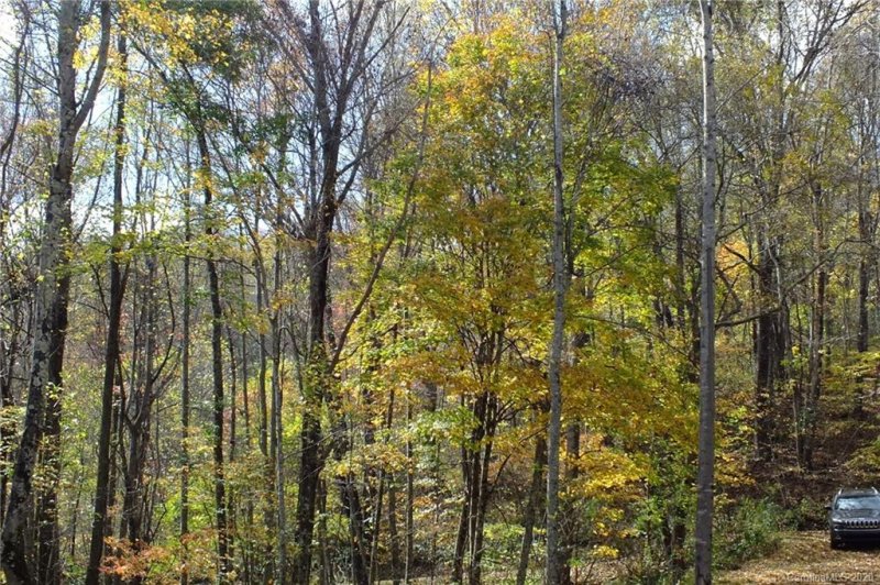 Property image 4 at 00 Sage Lane Lane, Waynesville, NC 28785