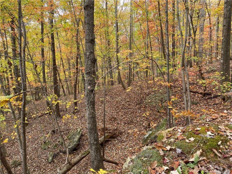 Property image 2 at 000 Grey Rock Parkway, Lake Lure, NC 28746