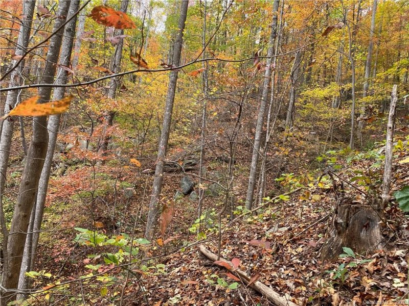 Property image 3 at 000 Grey Rock Parkway, Lake Lure, NC 28746