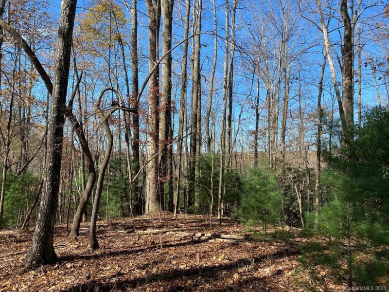 Property image 2 at Tbd Steel Creek Road, Brevard, NC 28712