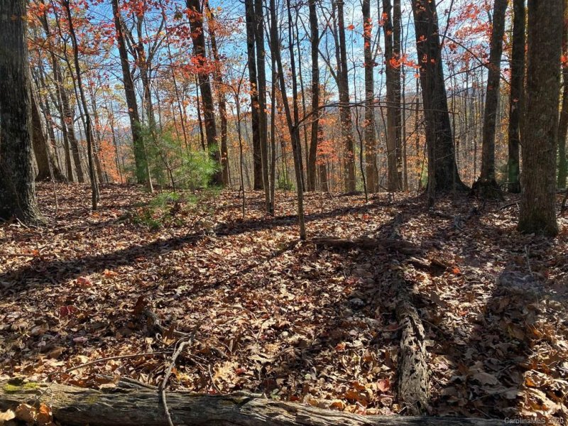 Property image 3 at Tbd Steel Creek Road, Brevard, NC 28712