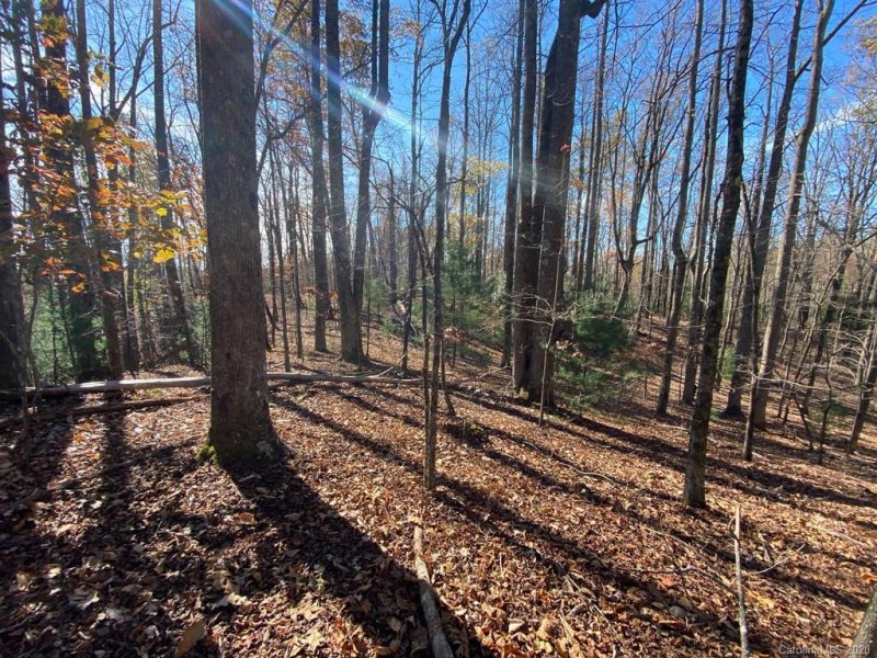 Property image 4 at Tbd Steel Creek Road, Brevard, NC 28712