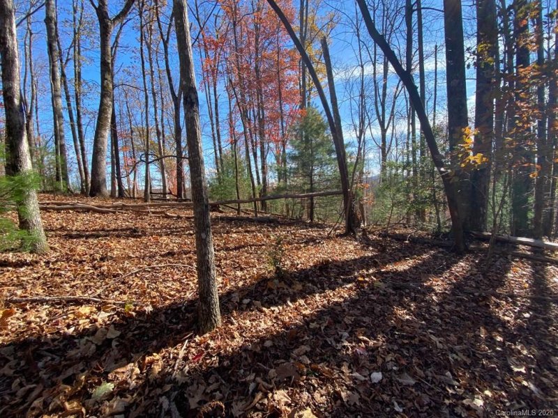 Property image 5 at Tbd Steel Creek Road, Brevard, NC 28712