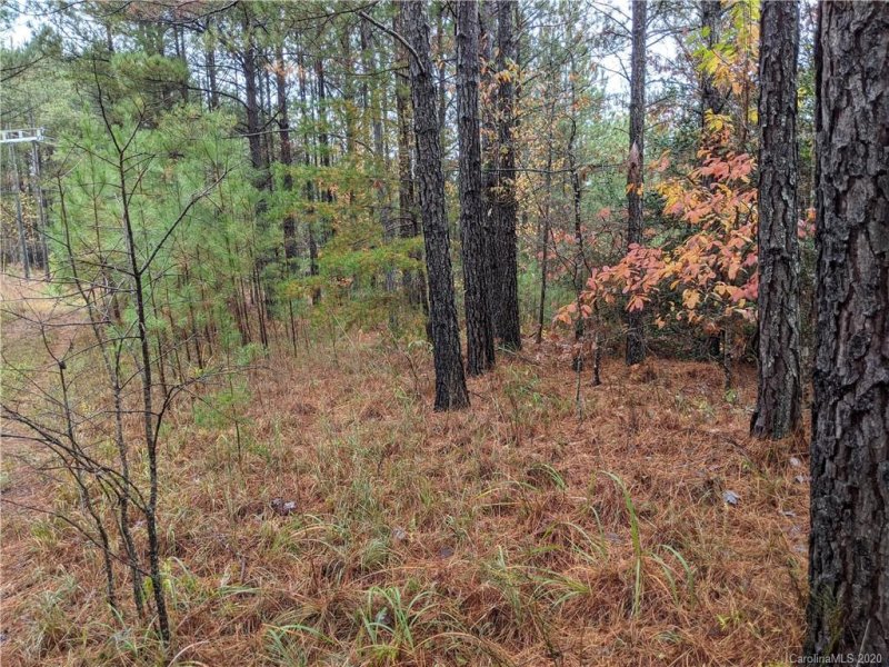 Property image 5 at 8 N Ashley Court, Mill Spring, NC 28756