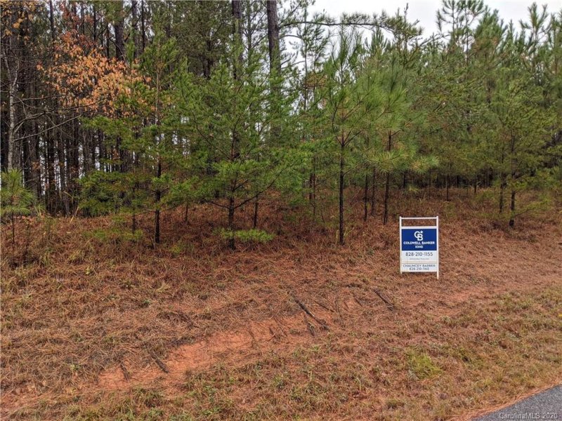 Property image 4 at 9 N Ashley Court, Mill Spring, NC 28756