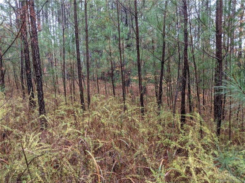 Property image 5 at 9 N Ashley Court, Mill Spring, NC 28756