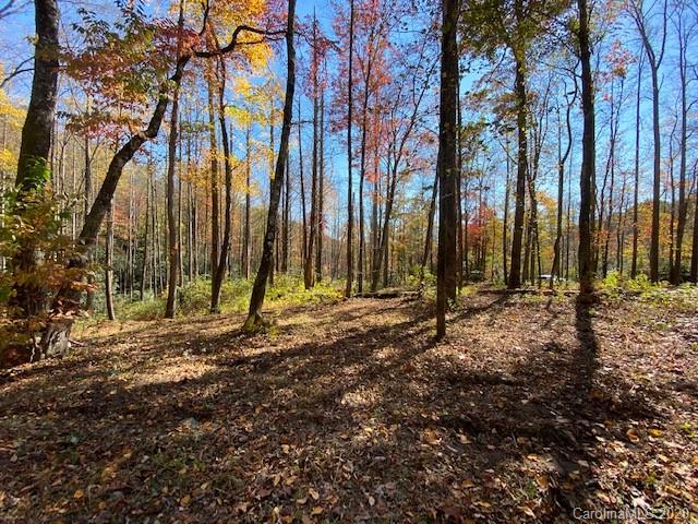 Property image 5 at 960 Wash Freeman Road, Hendersonville, NC 28792