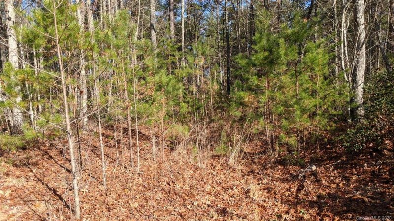 Property image 4 at 0 John Wilson Lane, Lenoir, NC 28645