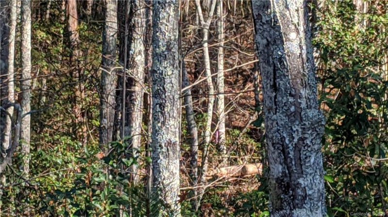 Property image 5 at 0 John Wilson Lane, Lenoir, NC 28645