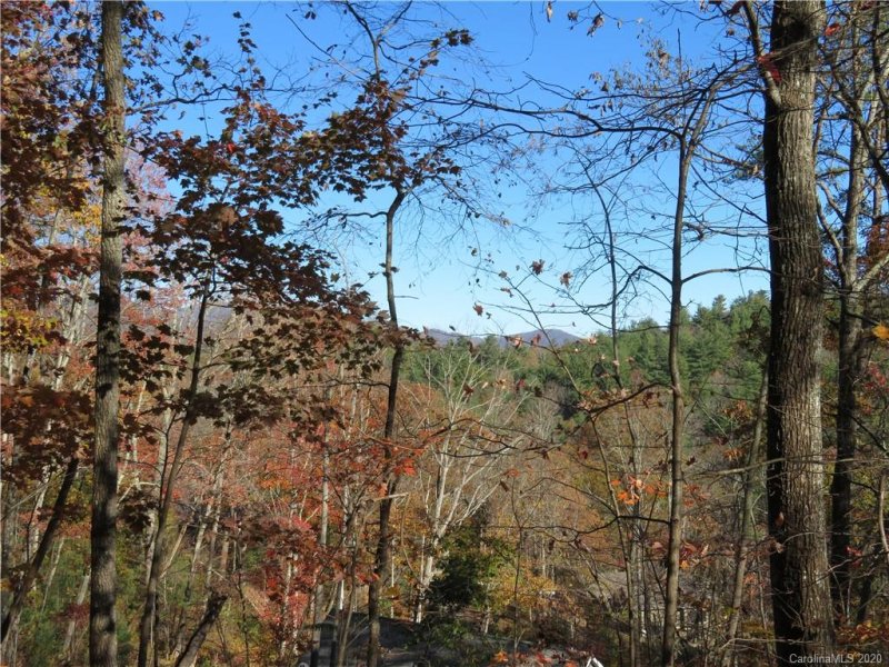 Property image 3 at 217 Patriots Drive, Asheville, NC 28805