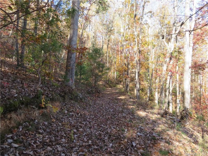 Property image 4 at 217 Patriots Drive, Asheville, NC 28805