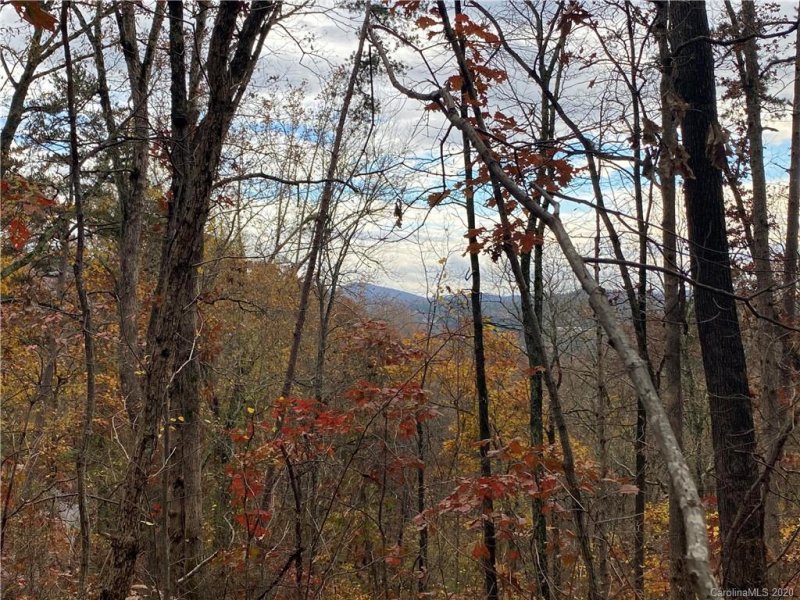 Property image 4 at 101 Reservoir Road, Asheville, NC 28805