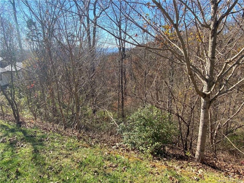 Property image 5 at 101 Reservoir Road, Asheville, NC 28805