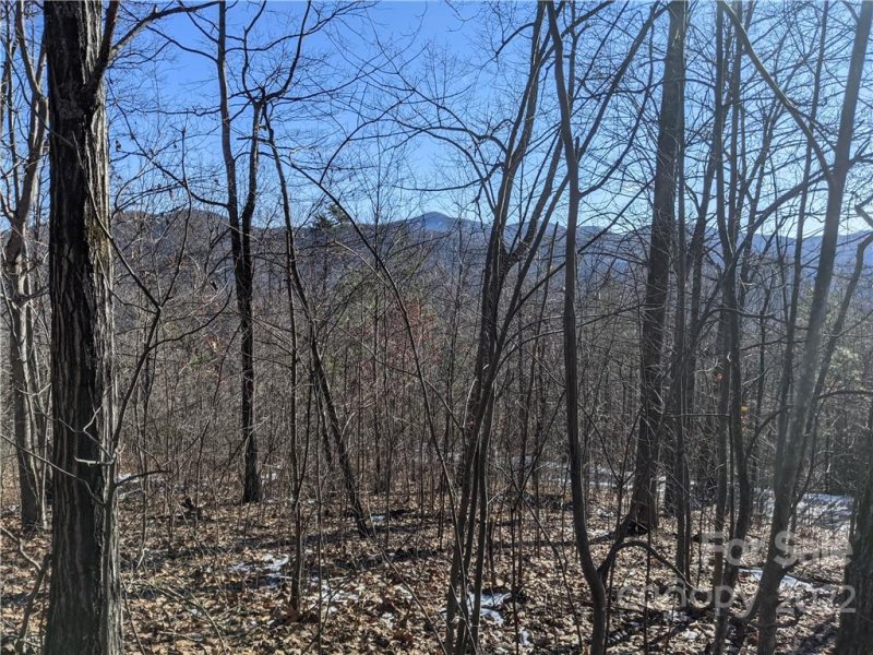 Property image 2 at Lot 24 Bald Eagle Drive, Hendersonville, NC 28792
