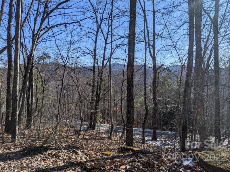 Property image 3 at Lot 24 Bald Eagle Drive, Hendersonville, NC 28792