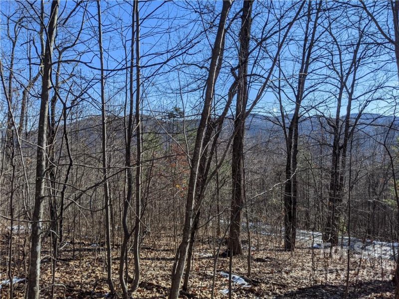 Property image 4 at Lot 24 Bald Eagle Drive, Hendersonville, NC 28792