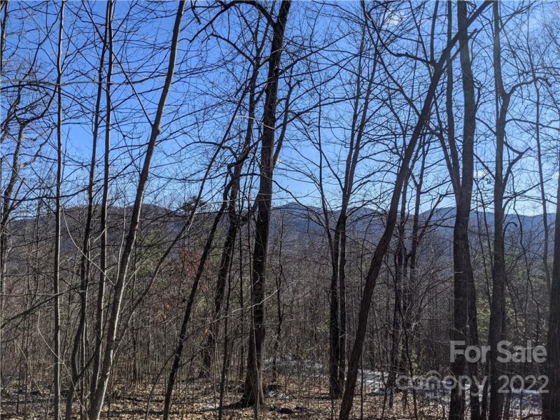 Property image 5 at Lot 24 Bald Eagle Drive, Hendersonville, NC 28792