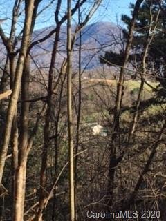 Property image 2 at 37 38 Turkey Hollow Court, Waynesville, NC 28785