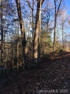 Property image 5 at 37 38 Turkey Hollow Court, Waynesville, NC 28785