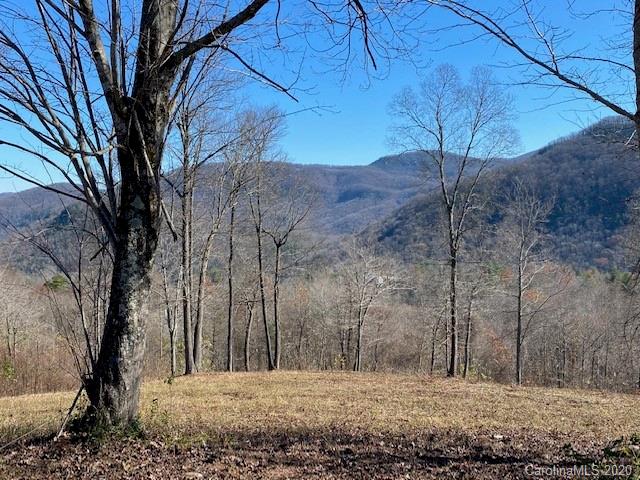 Property image 2 at 0000 Glen Haven Cove, Hendersonville, NC 28792