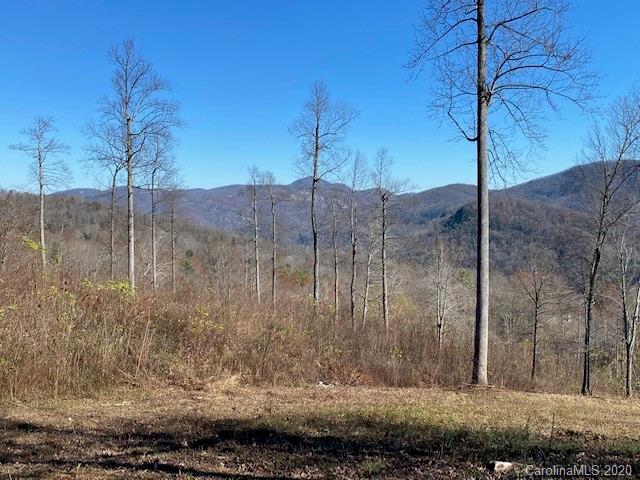 Property image 3 at 0000 Glen Haven Cove, Hendersonville, NC 28792