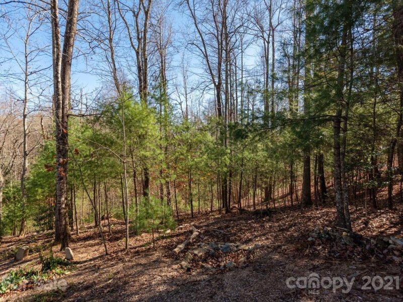 Property image 4 at Lot 23 Monarch Road, Hendersonville, NC 28739