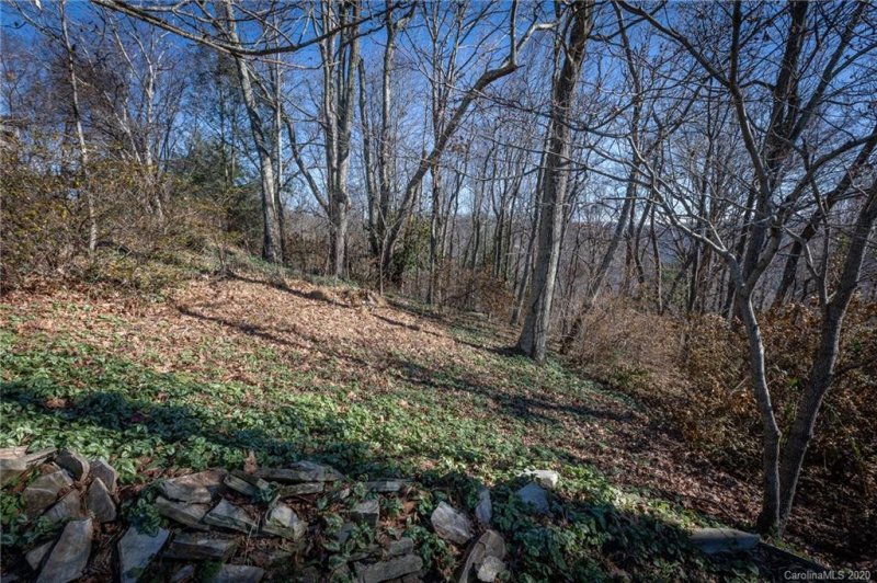 Property image 2 at 7 Crowningway Drive, Asheville, NC 28804