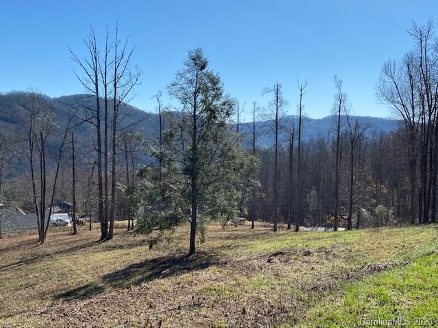 Property image 4 at 0000 Glen Haven Cove, Hendersonville, NC 28792